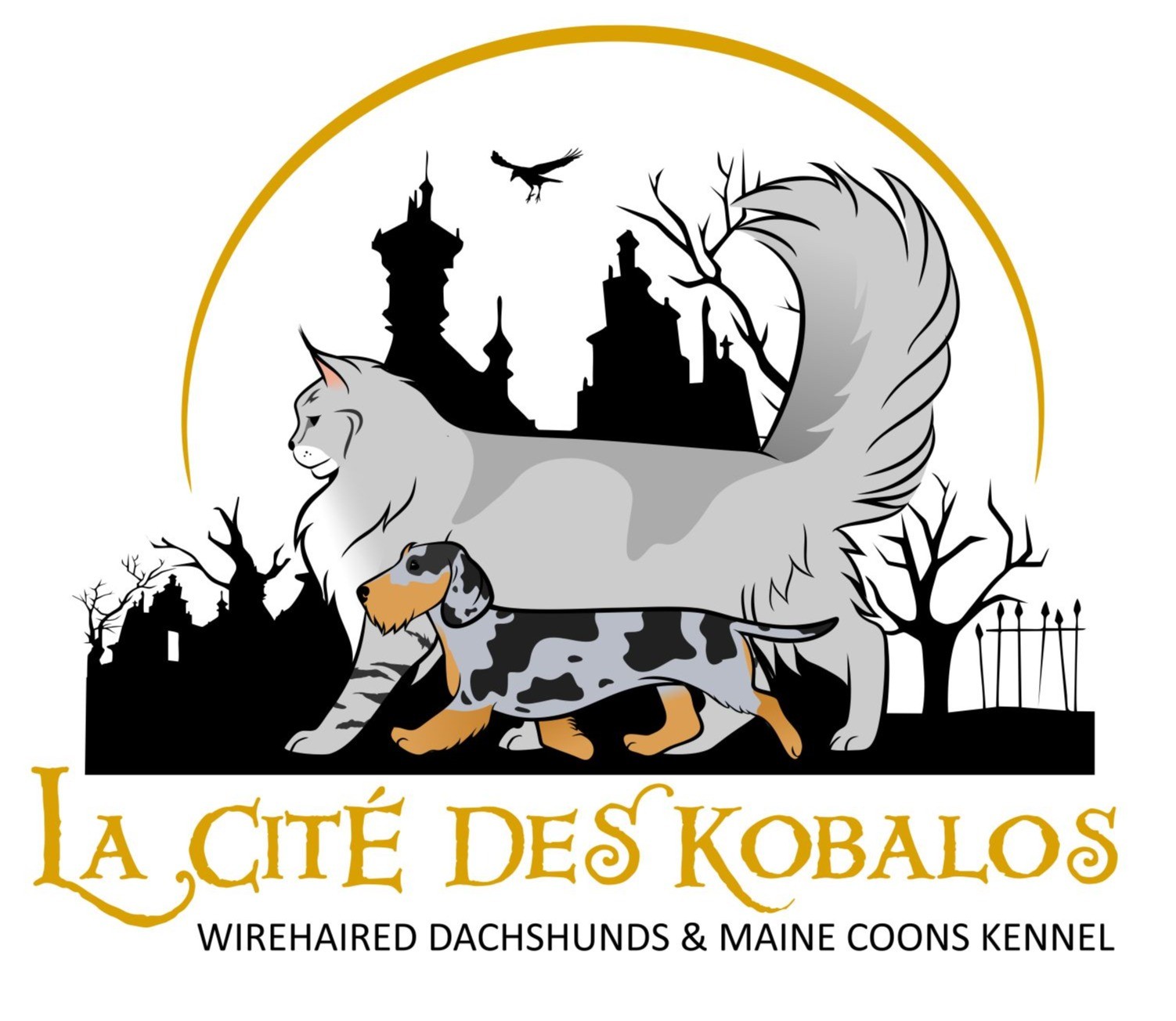 De La Cité Des Kobalos